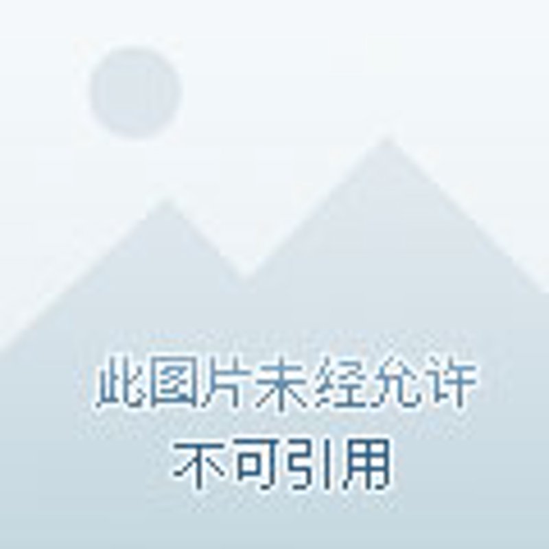 余杭皮件厂：古老工艺与现代潮流的交织
